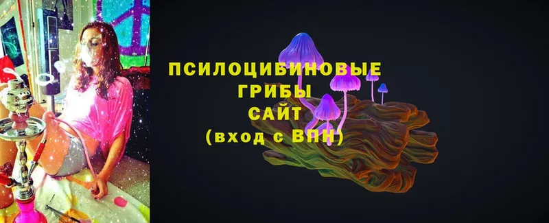 Псилоцибиновые грибы MAGIC MUSHROOMS Ипатово